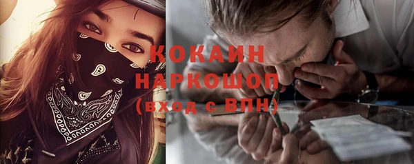 молекула духа Чердынь