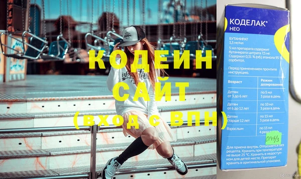 молекула духа Чердынь