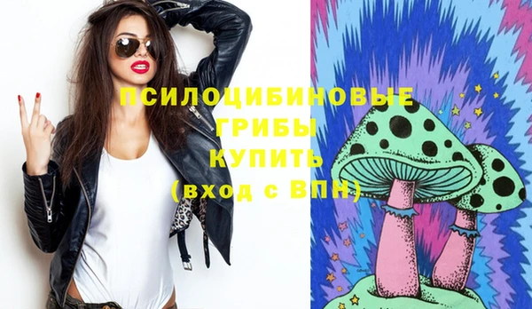 бошки Чегем