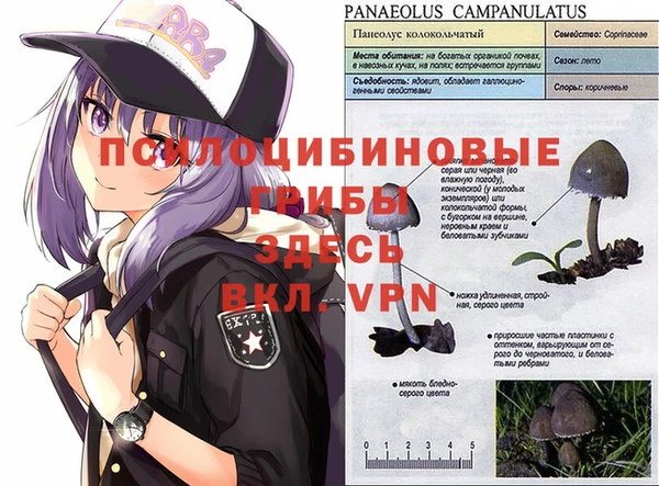 молекула духа Чердынь