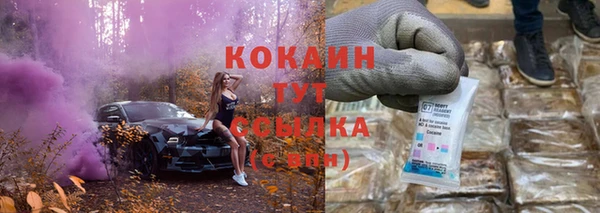 бошки Чегем